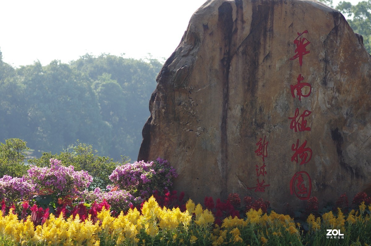 再发一次，华南植物园