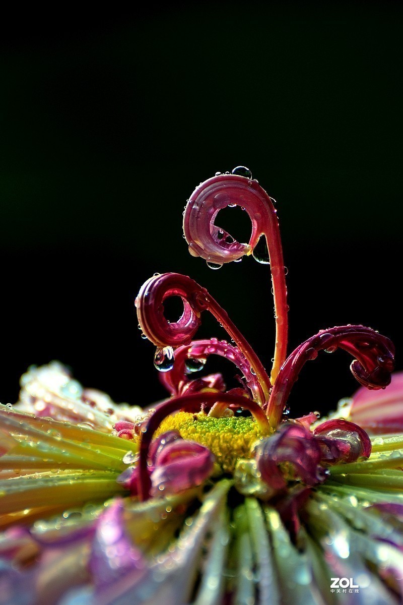 #版主坐堂# 索尼 大版星空(中国)2021年2月份优秀作品精选汇总