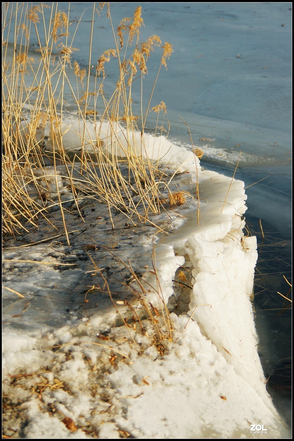 #版主坐堂# 索尼 大版星空(中国)2021年2月份优秀作品精选汇总