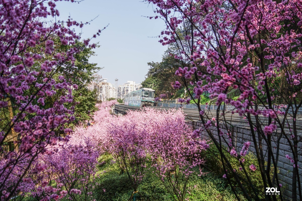 #版主坐堂# 索尼 大版星空(中国)2021年2月份优秀作品精选汇总