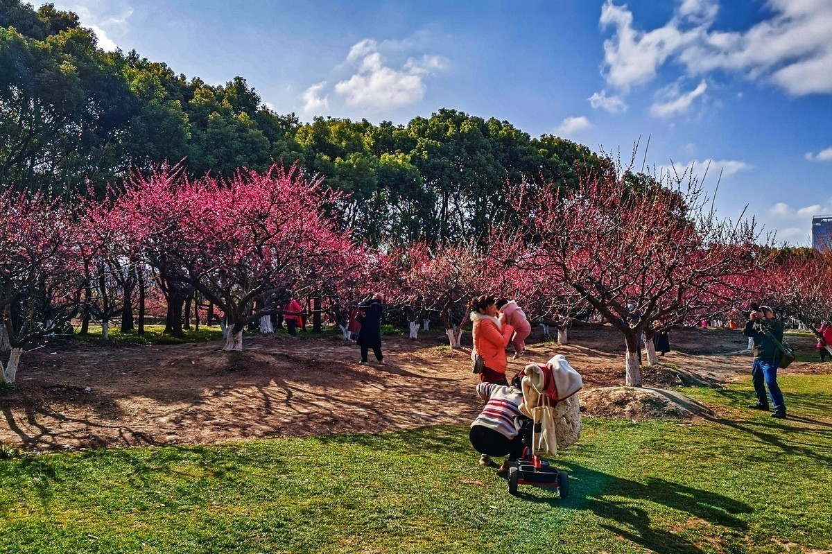 #版主坐堂# 索尼 大版星空(中国)2021年2月份优秀作品精选汇总