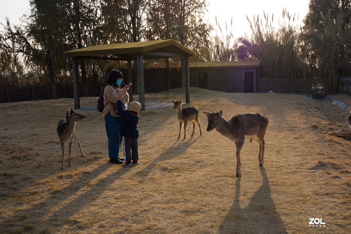 #版主坐堂# 索尼 大版星空(中国)2021年2月份优秀作品精选汇总