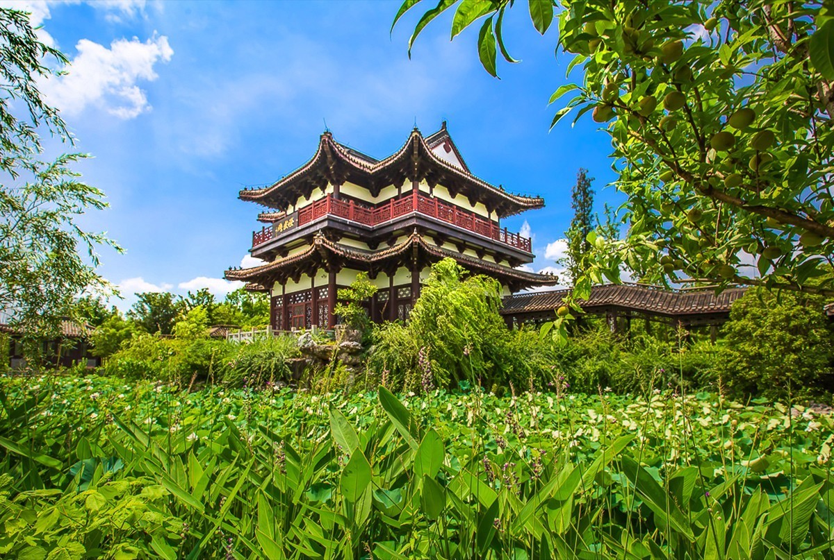 20210802仪征东园一