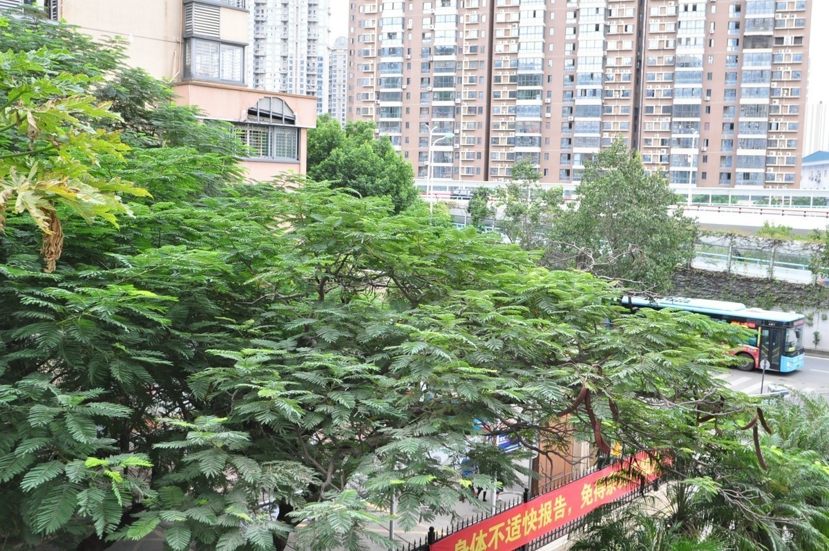 刚入手一部二手D90，试拍几张请各位大神们指正！