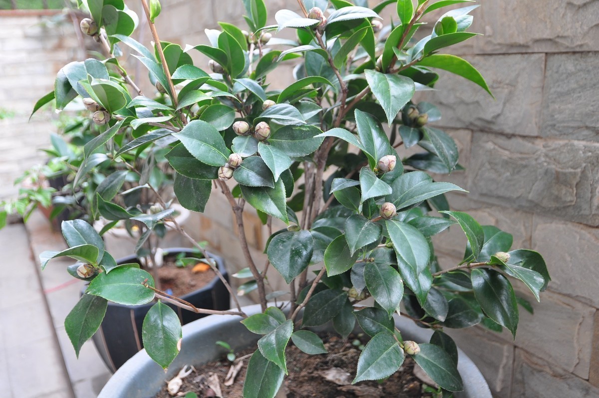 刚入手一部二手D90，试拍几张请各位大神们指正！