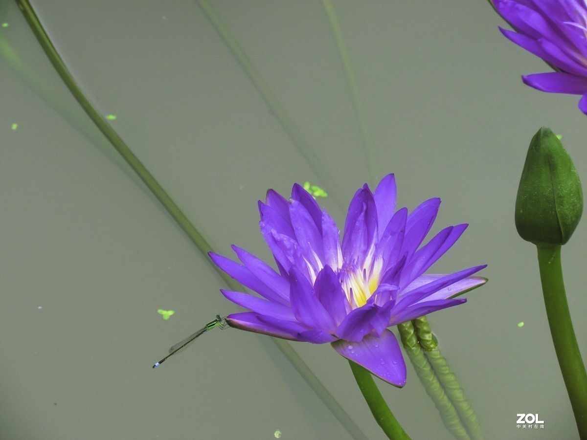 #版主坐堂# 索尼 大版星空(中国)2021年2月份优秀作品精选汇总