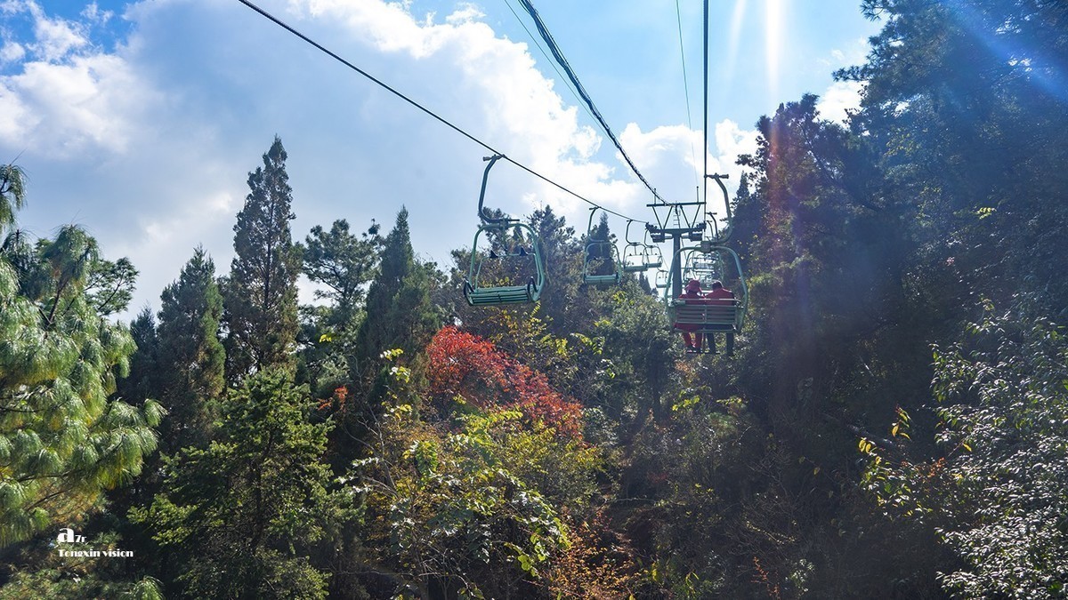 #版主坐堂# 索尼 大版星空(中国)2021年2月份优秀作品精选汇总