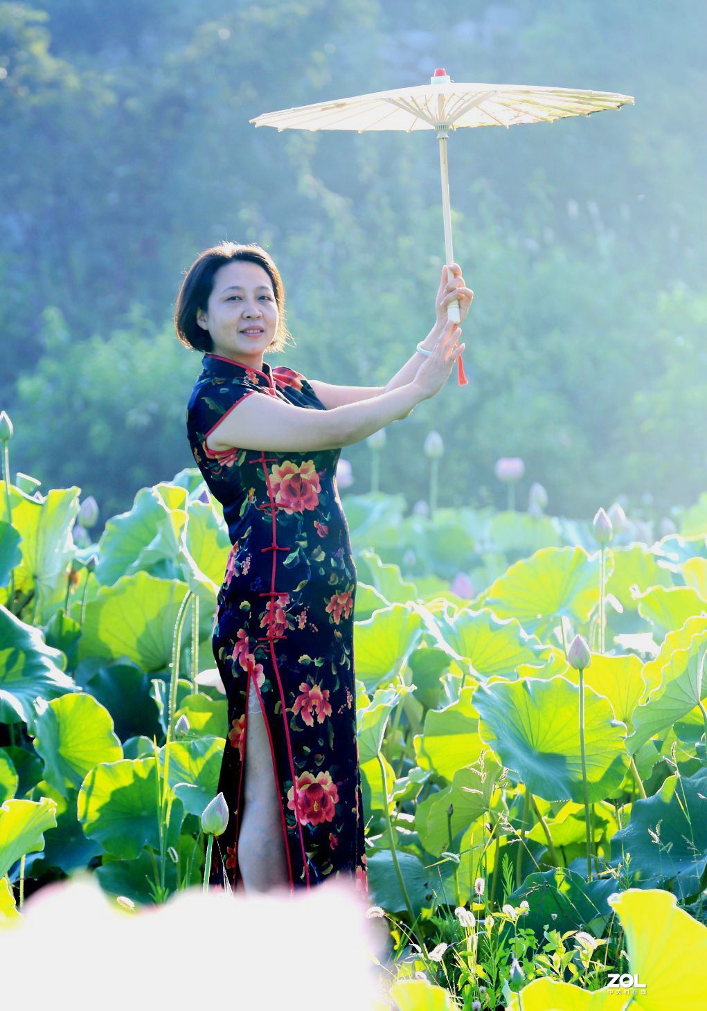 一池荷花半生梦