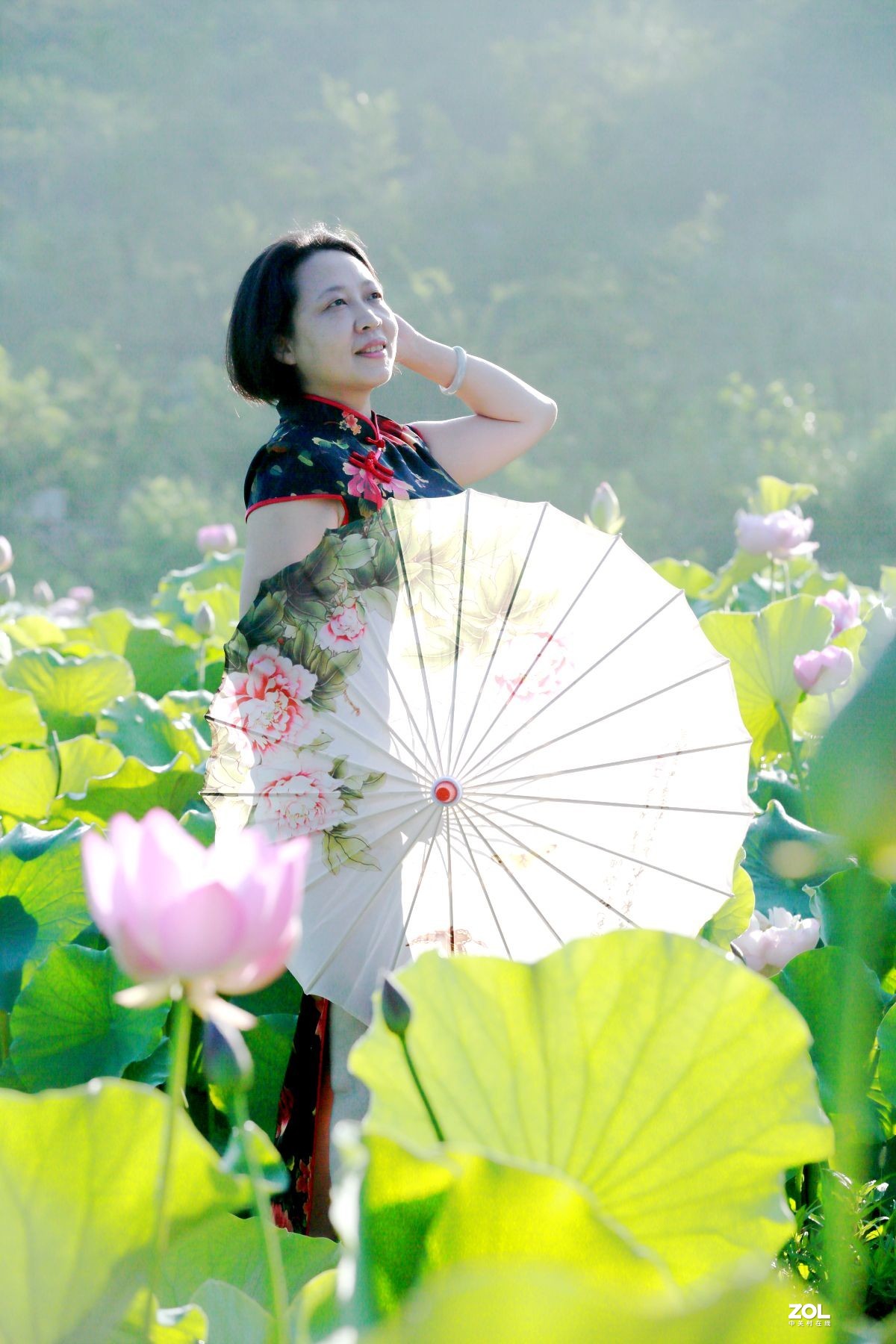 一池荷花半生梦