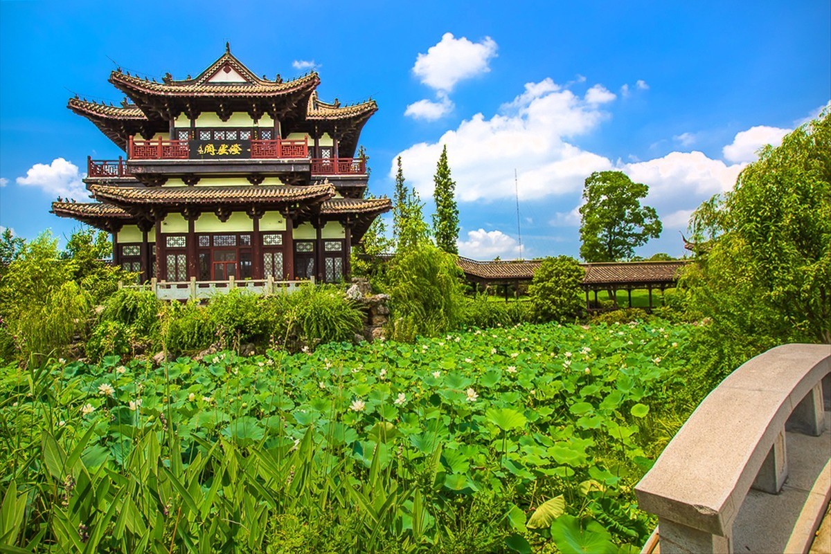 20210802仪征东园一