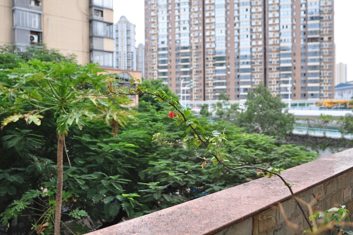 刚入手一部二手D90，试拍几张请各位大神们指正！