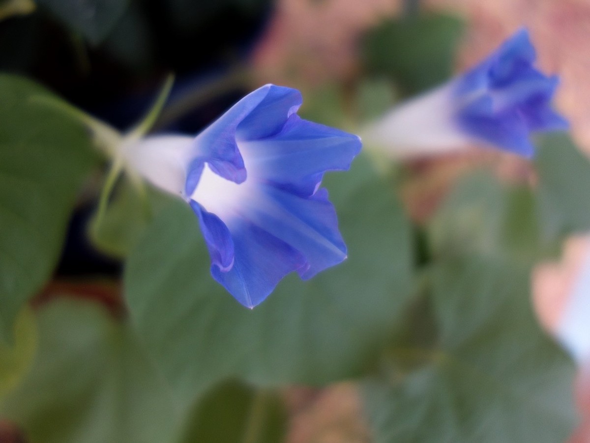 2020-05-31  路过中央电视台