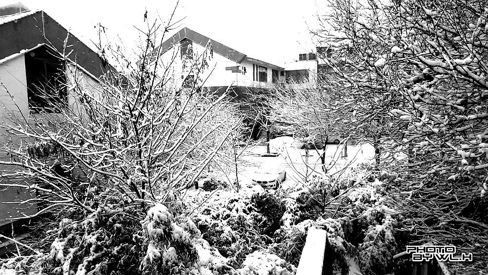 庚子冬月初雪散记