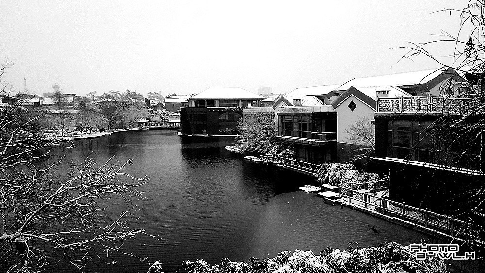 庚子冬月初雪散记