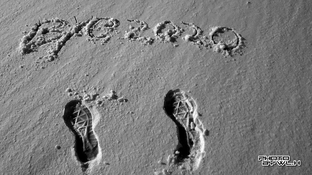 庚子冬月初雪散记