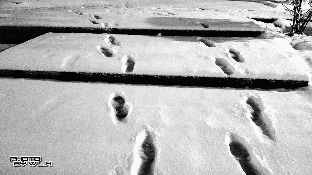 庚子冬月初雪散记