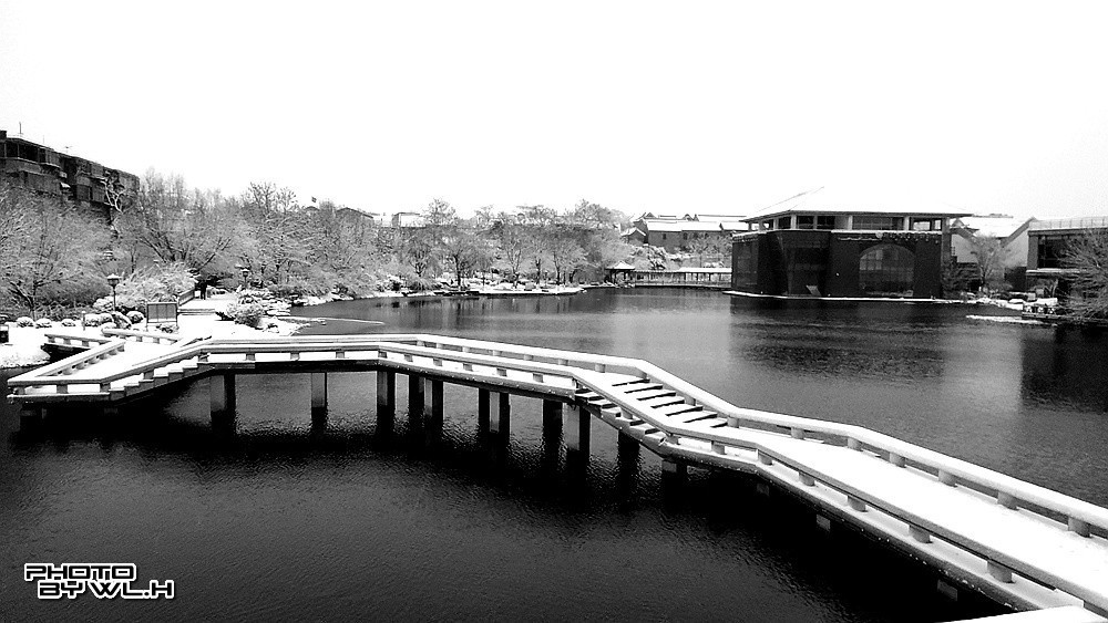 庚子冬月初雪散记