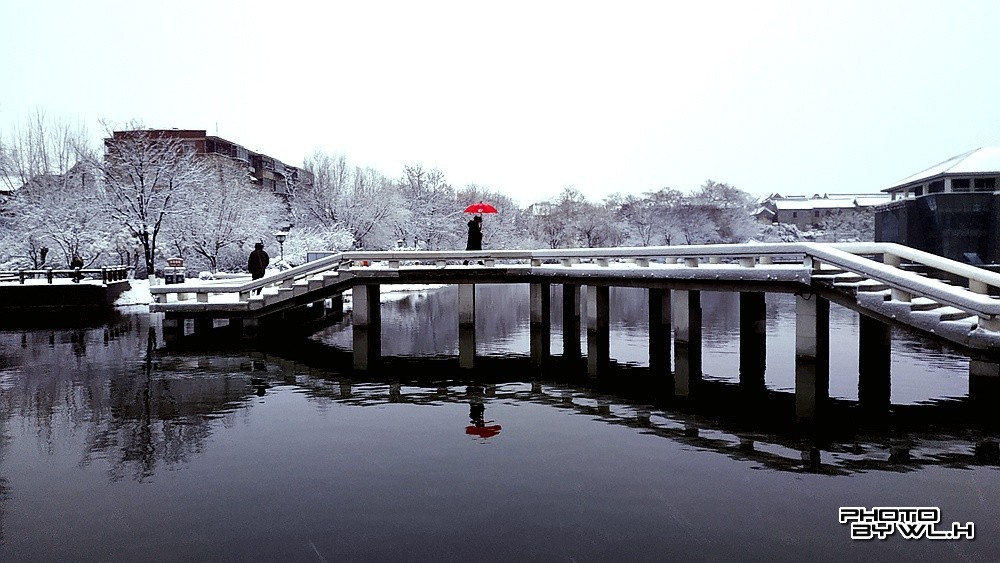 庚子冬月初雪散记