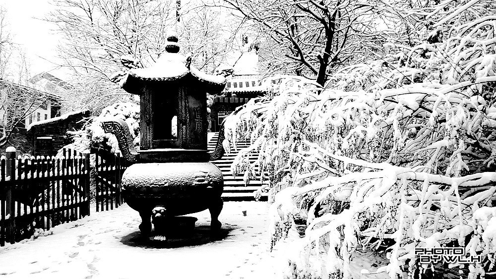 庚子冬月初雪散记