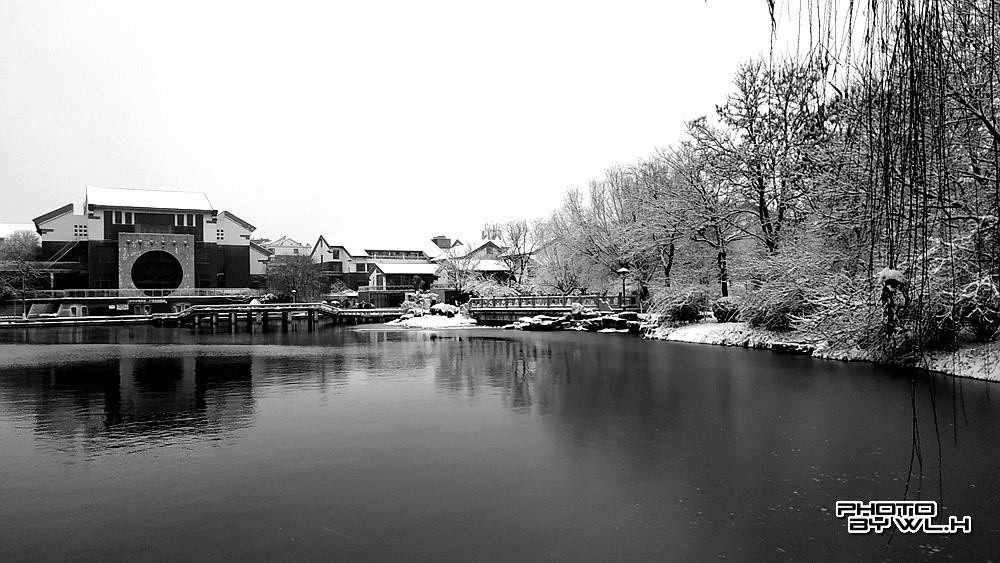 庚子冬月初雪散记