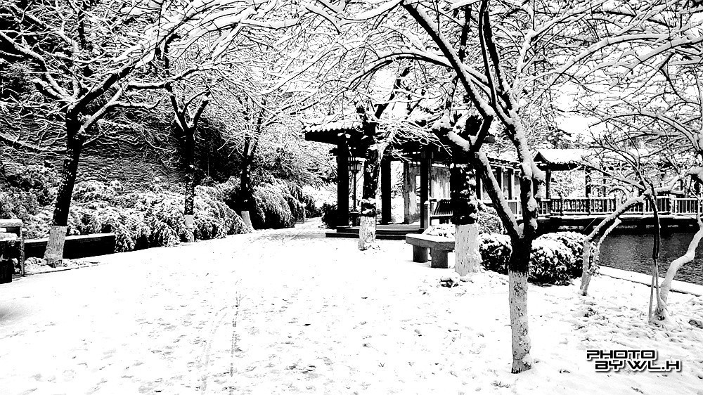 庚子冬月初雪散记