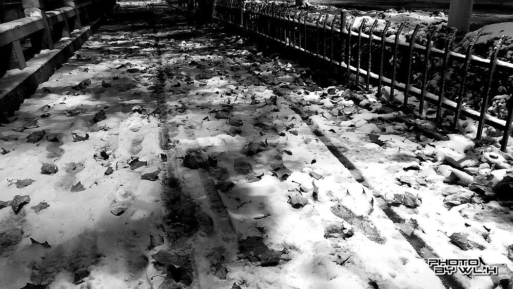 庚子冬月初雪散记