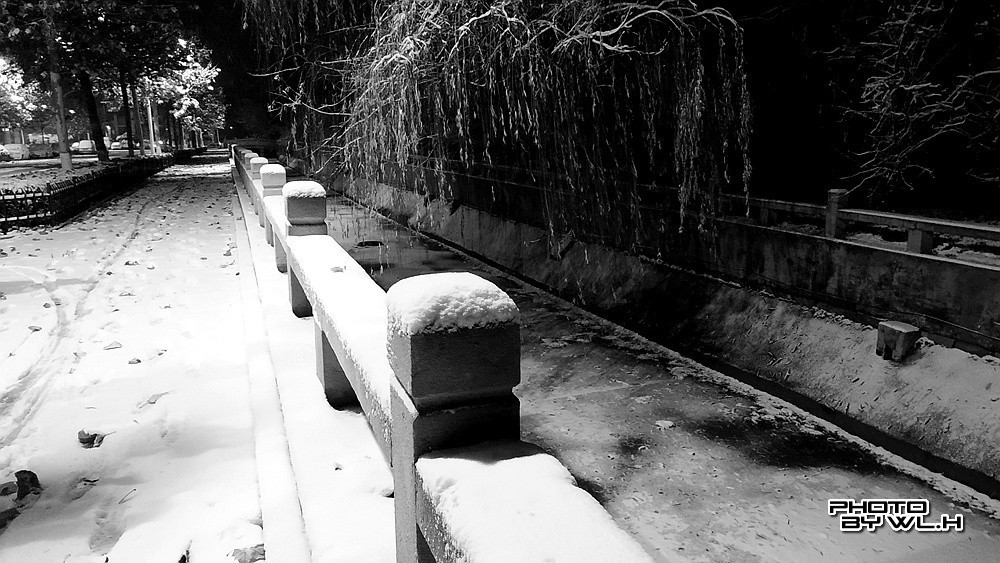 庚子冬月初雪散记