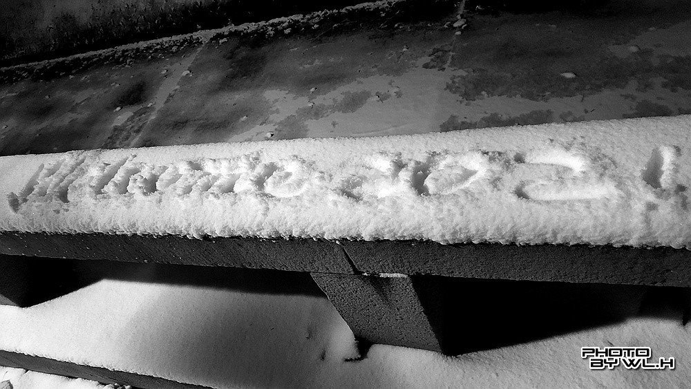 庚子冬月初雪散记