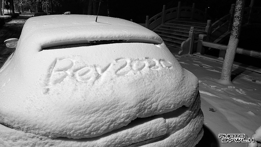 庚子冬月初雪散记