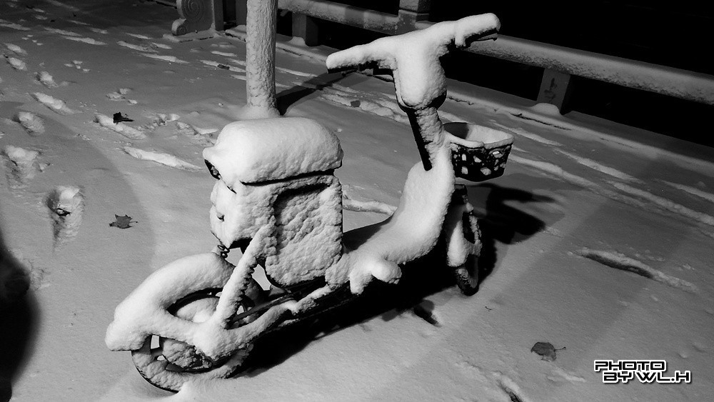 庚子冬月初雪散记