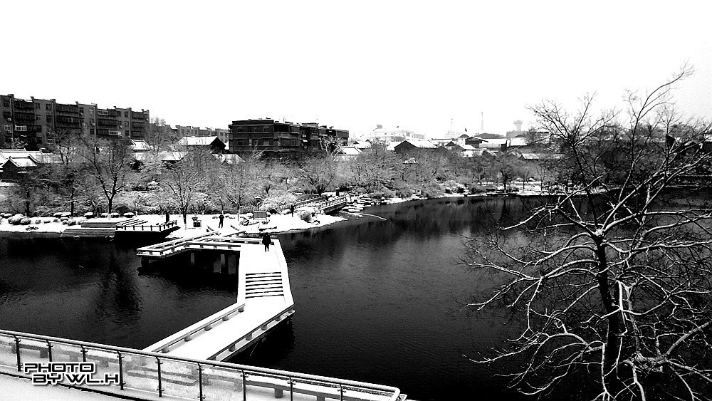 庚子冬月初雪散记