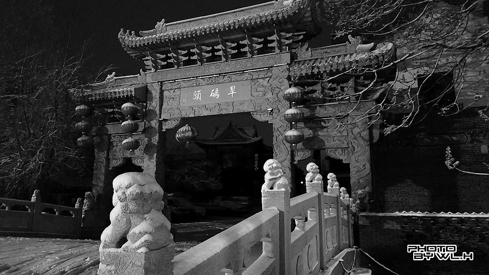 庚子冬月初雪散记