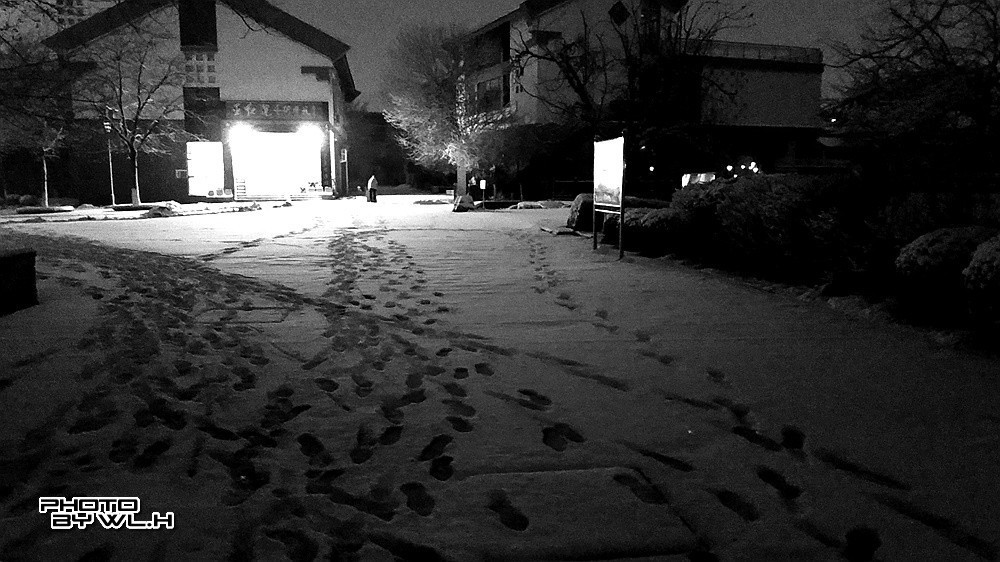 庚子冬月初雪散记