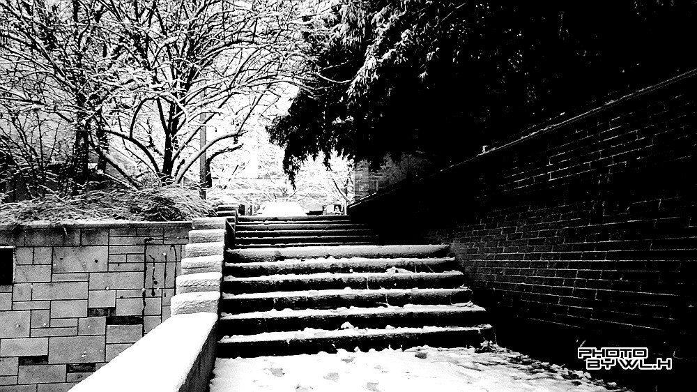 庚子冬月初雪散记