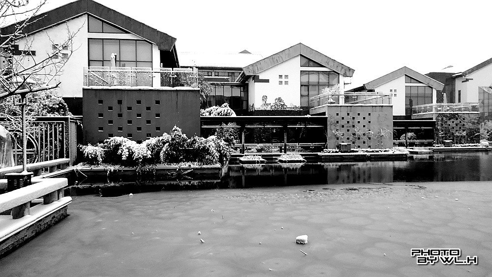 庚子冬月初雪散记