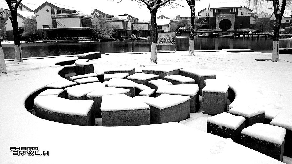 庚子冬月初雪散记