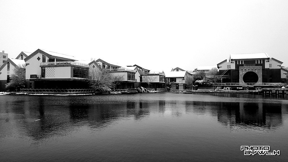 庚子冬月初雪散记