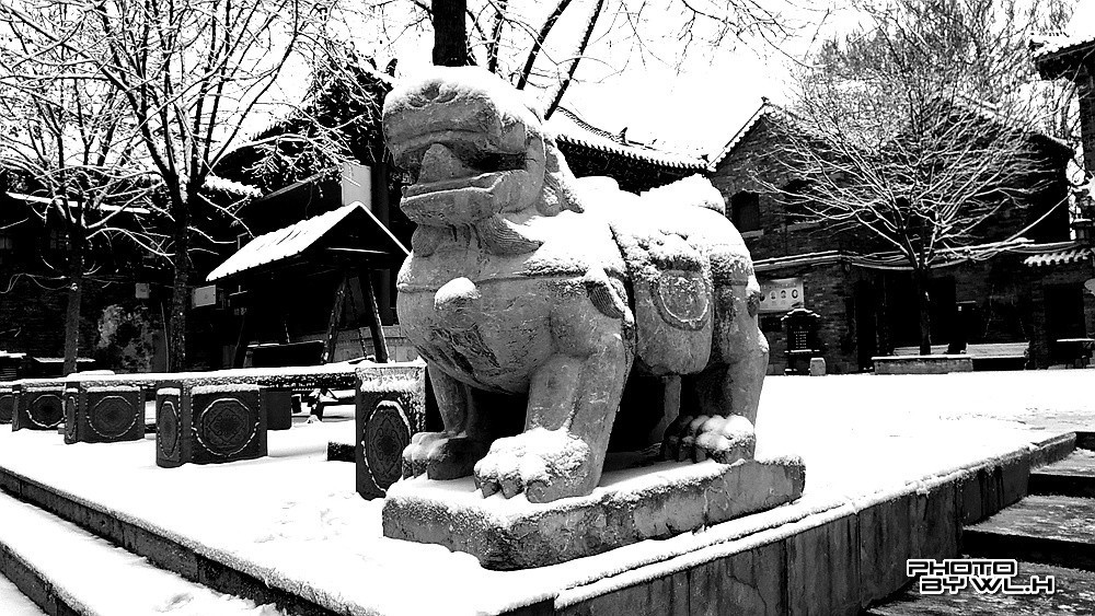 庚子冬月初雪散记