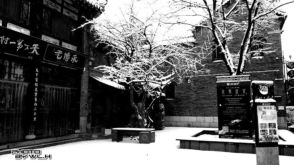 庚子冬月初雪散记