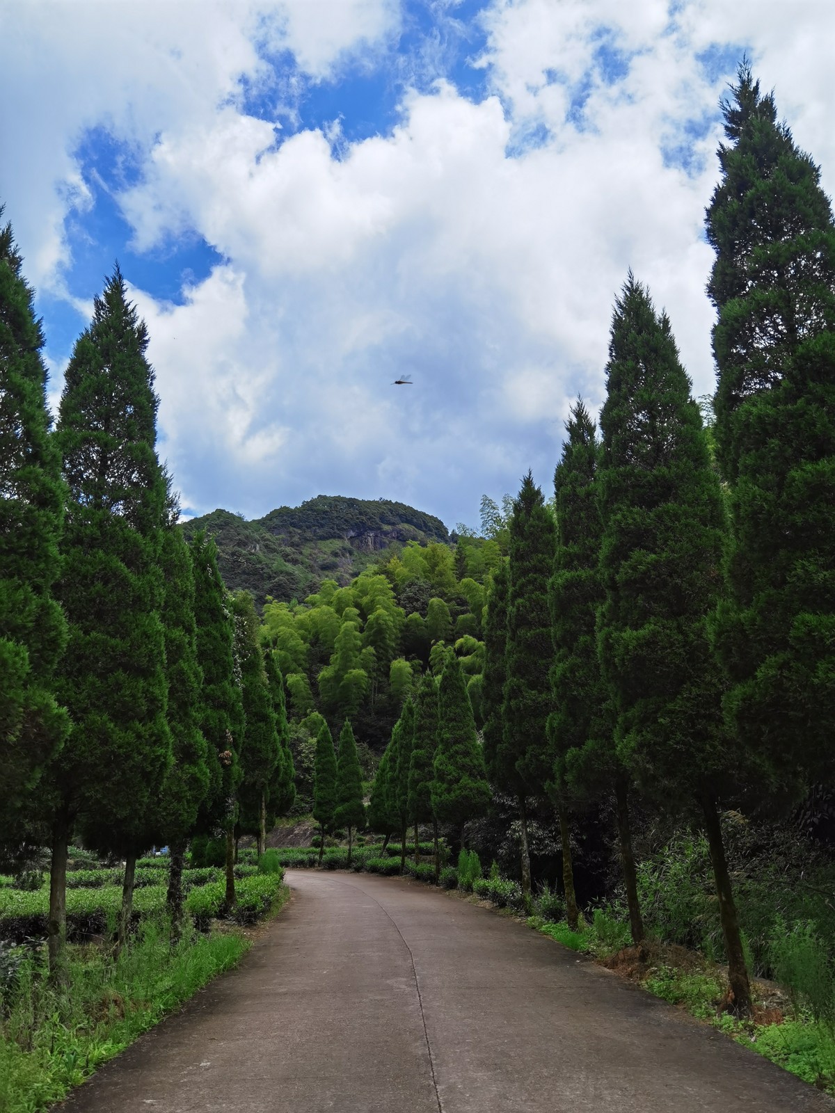 沿途拍美景