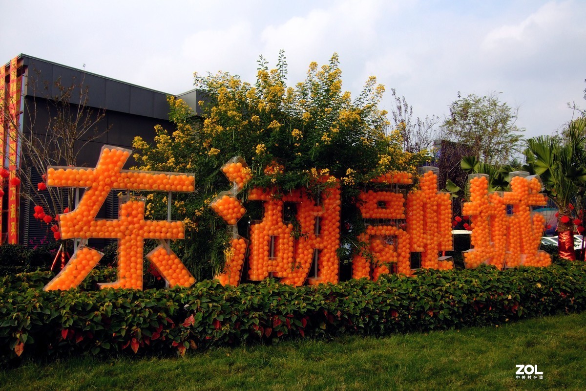压箱底老相机再拿出来试机