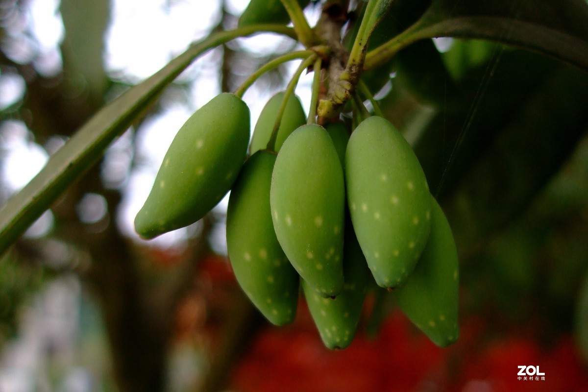 压箱底老相机再拿出来试机