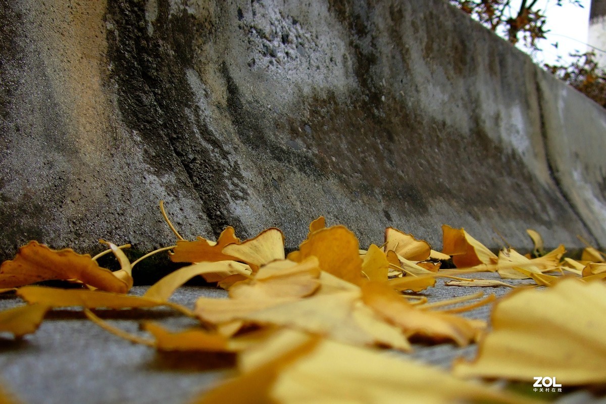 压箱底老相机再拿出来试机