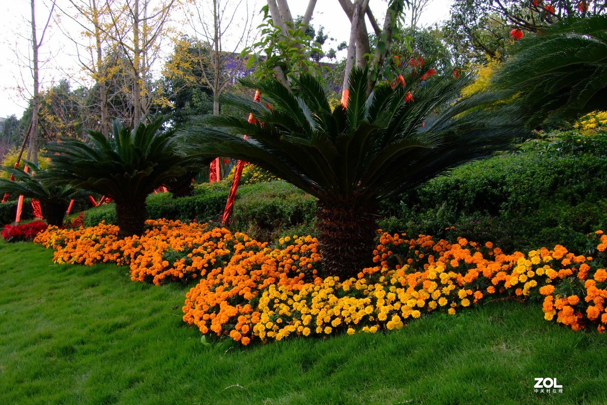 压箱底老相机再拿出来试机