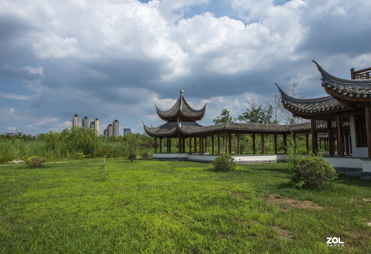 盛夏的天津水西公園