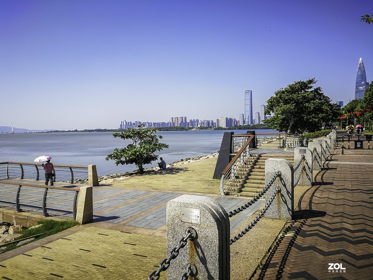 深圳湾红树林公园 ~ 掠影