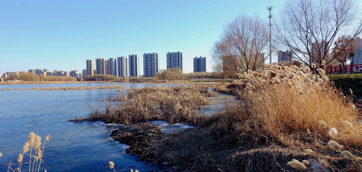 沈阳沈北人杰湖结冰美