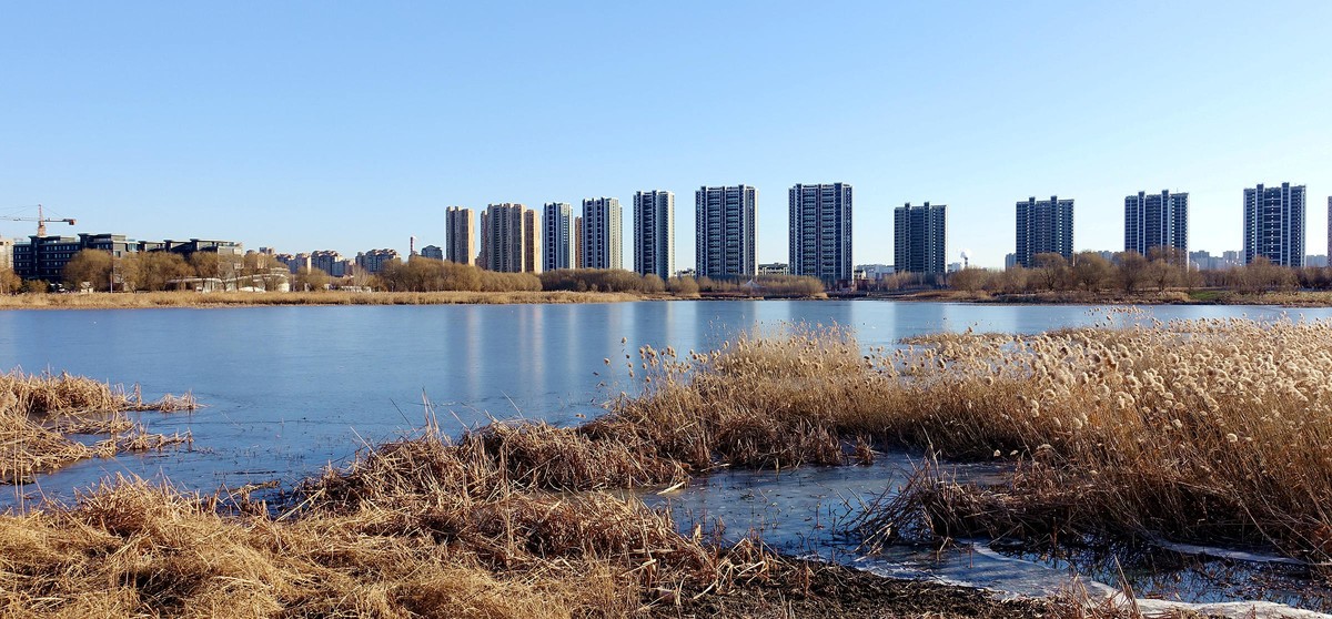 沈阳沈北人杰湖结冰美