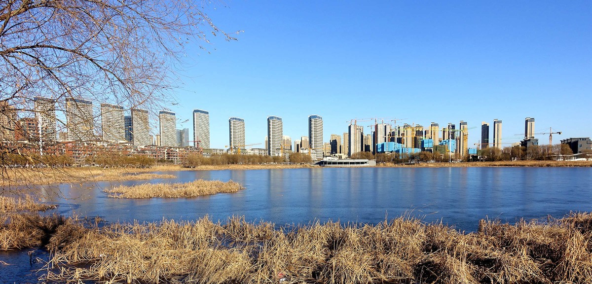 沈阳沈北人杰湖结冰美