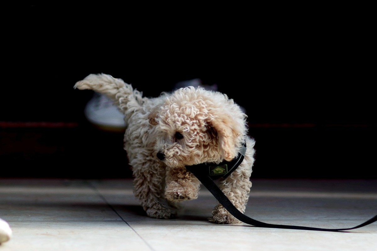 宾得K12最近试拍了一下,画质给力嚄